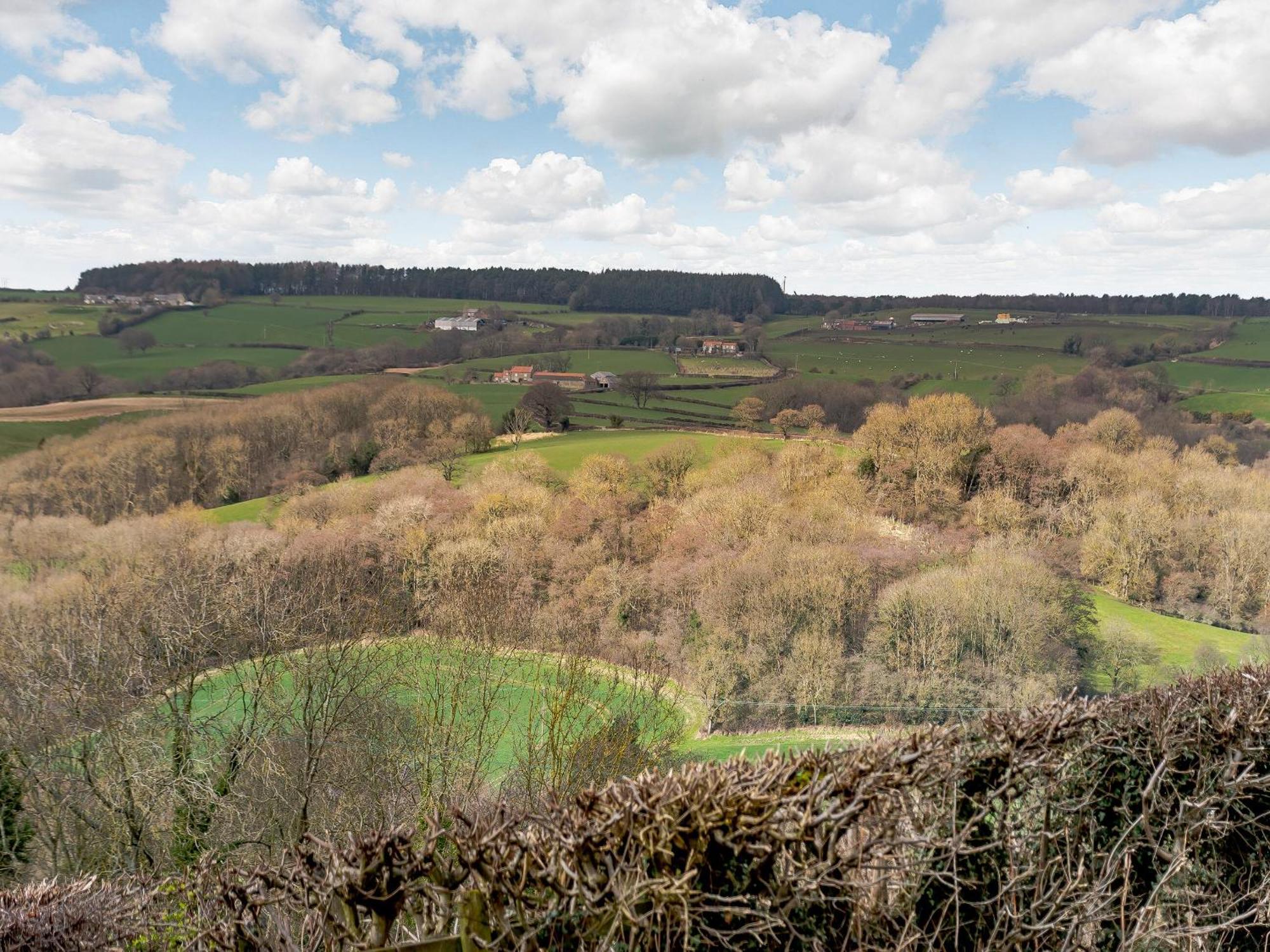 Villa Esk Dale View Grosmont  Esterno foto